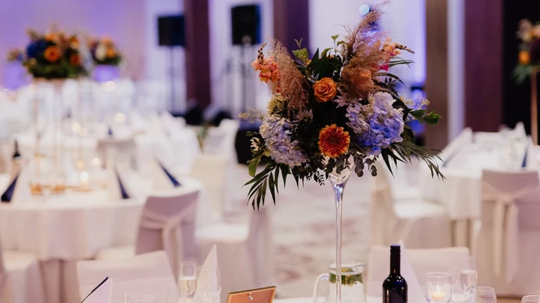 organizovanie podujati 11